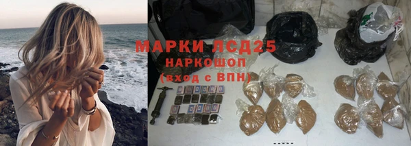 ешки Белокуриха