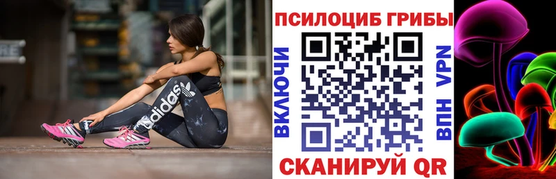 Галлюциногенные грибы Psilocybine cubensis  Купить где  Безенчук 