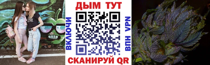 Купить где  Безенчук  Бошки Шишки гибрид 